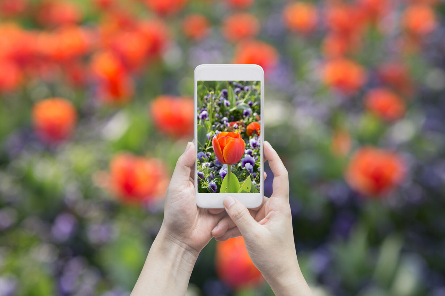 5 conseils pour réussir vos photos au smartphone